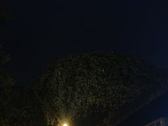 -见山书院