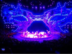 -珠海横琴长隆《卡卡虎奇遇记》