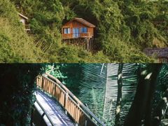 -亚龙湾国际玫瑰谷