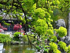 -善卷洞风景区