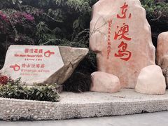 -东澳岛