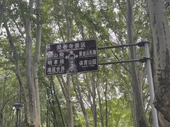 -灵谷景区
