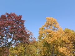 -宜兴龙背山森林公园