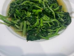 -朝郡酒家·粤菜(燕大星苑店)