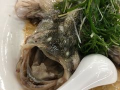 清蒸鲈鱼-渔鸽皇酒楼(鸿大广场店)