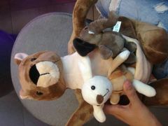 -PAWTOY爪e玩偶店(天兴罗斯福店)