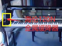 -秦川乐器(河西店)