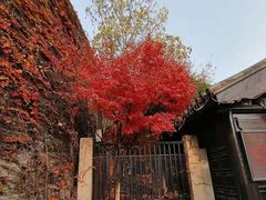 -虞山风景区