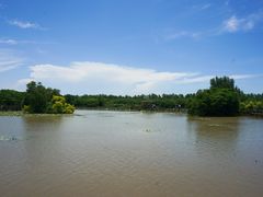 -大湾区中央湿地公园