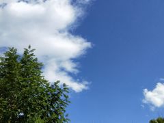 -重庆海昌加勒比海水世界