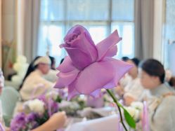 -baby bella小贝拉母婴护理中心(珠海华发公寓店)