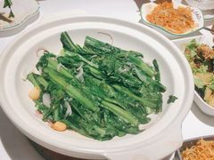 砂锅油麦菜-撒椒·四川江湖菜(西单大悦城店)