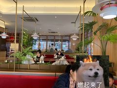 -船歌·鱼水饺青岛菜(金狮广场店)