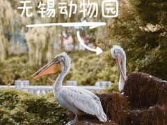 -无锡动物园·太湖欢乐园