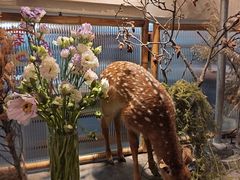 -野草莓自由市场