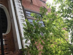 iphone_upload_pic-上海基督教景灵堂