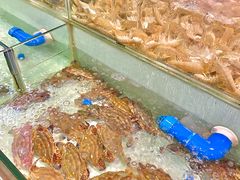 -多迷烫菜广场(水心大厦店)