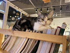 -小时光咖啡馆(开森度假森林店)