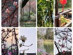 -西溪国家湿地公园