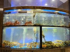 -海都六福酒家(世博广场店)