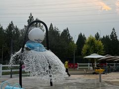 -爪吧宠物乐园·宠物泳池(温榆河示范区店)