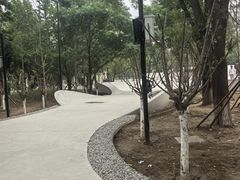 -石榴庄公园