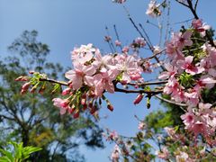 -桃花涧