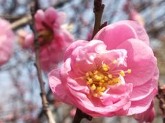 -洛阳市隋唐城遗址植物园