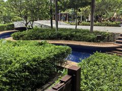 -三亚亚龙湾红树林度假酒店