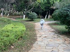 -前关湿地公园