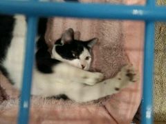 -猫的天空之城概念书店(杭州南宋御街店)