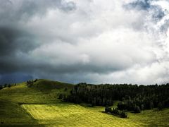 -莫尔道嘎国家森林公园