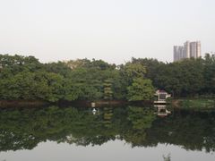 -荔湾湖公园