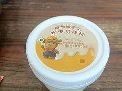 水牛奶酸奶-周大娘牛乳(旧寨古村总店)