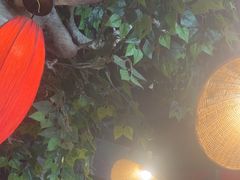 -破瓦寒窑·地摊烤羊排