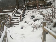 -青峰峡国家森林公园