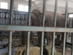 -西安秦岭野生动物园