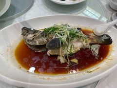 -大东海海鲜酒楼(渔人码头总店)