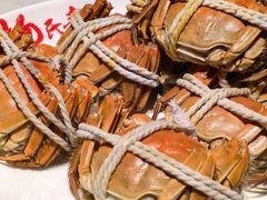 -杨氏青龙虾·羊蝎子(金盛路总店)