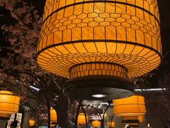 大堂-绿茶餐厅(昌平悦荟店)