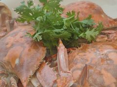 -今鲜源大酒店·中华餐饮名店(新湛路店)