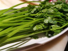 -东道煮牛肉火锅(东盛大街店)