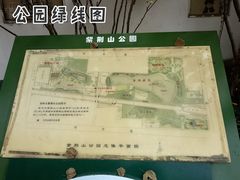 -紫荆山公园
