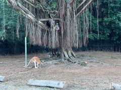 -广州长隆野生动物世界