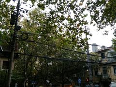 -上海交通大学医学院附属瑞金医院(总院)