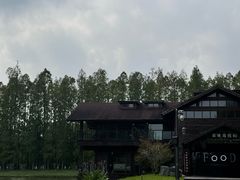 -黄海国家森林公园