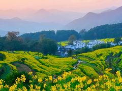 -婺源风景区