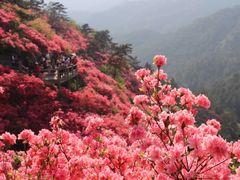 -木兰云雾山