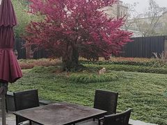 -品悦(崇明凯悦店)