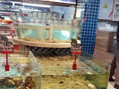 -南海底小海鲜·湘菜(鲁巷吴家湾店)